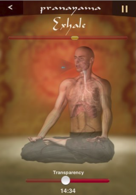 Pranayama iPhone screenshot