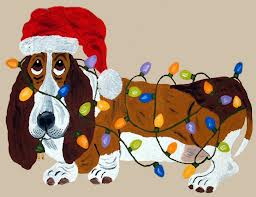 dog with santa hat and christmas lights