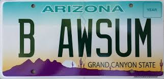 b-awsum-license-plate