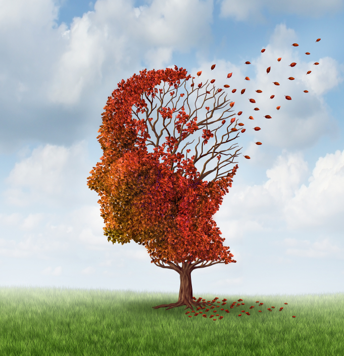 brain losing leaves, dementia, alzheimer's